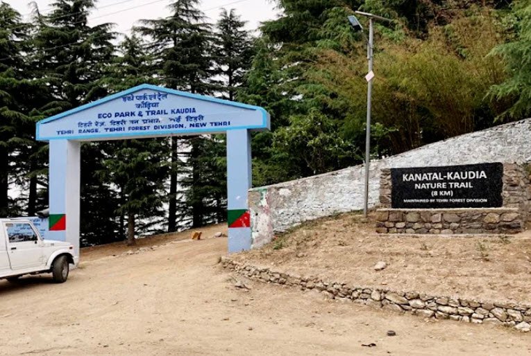 Kaudia Forest, Tehri Garhwal, Uttarakhand - Vushii.com Kaudia Forest, Tehri Garhwal, Uttarakhand - Vushii.com